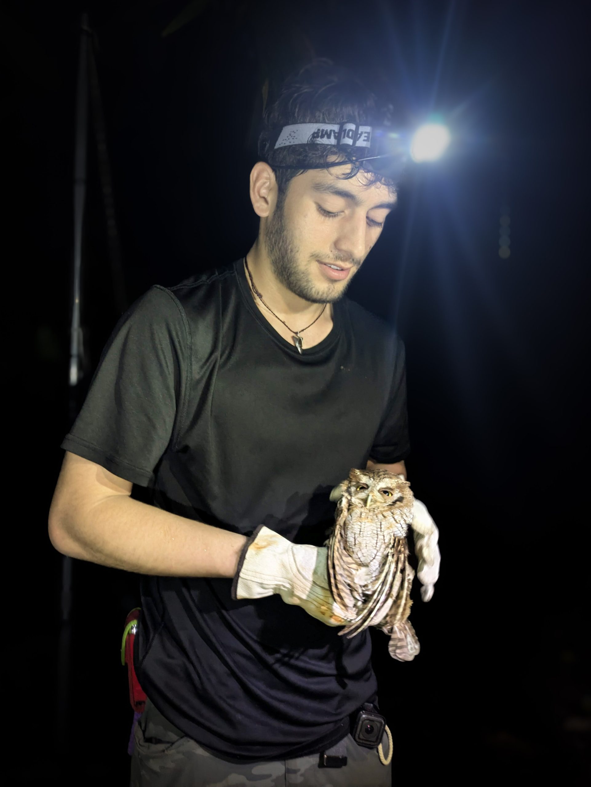 Juan Pablo Castro holding an owl at night, Ecuador