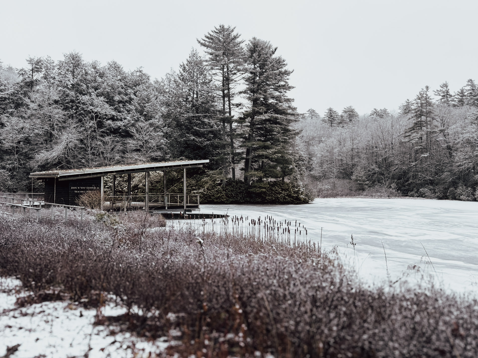 A low open-sided timber pavilion with a planted green roof stands at the edge of a frozen lake, surrounded by snow-covered deciduous trees and dark evergreens under an overcast winter sky.