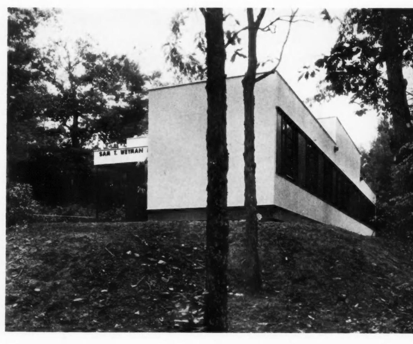Masa's photograph of the Weyman Laboratory seen from below the slope, the building cantilevered over the hillside behind two tree trunks.