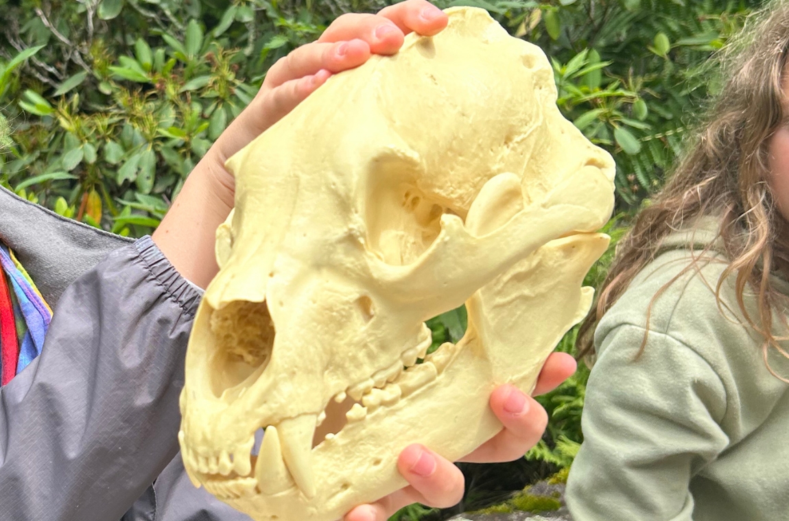 Surprising Skulls | September 2026