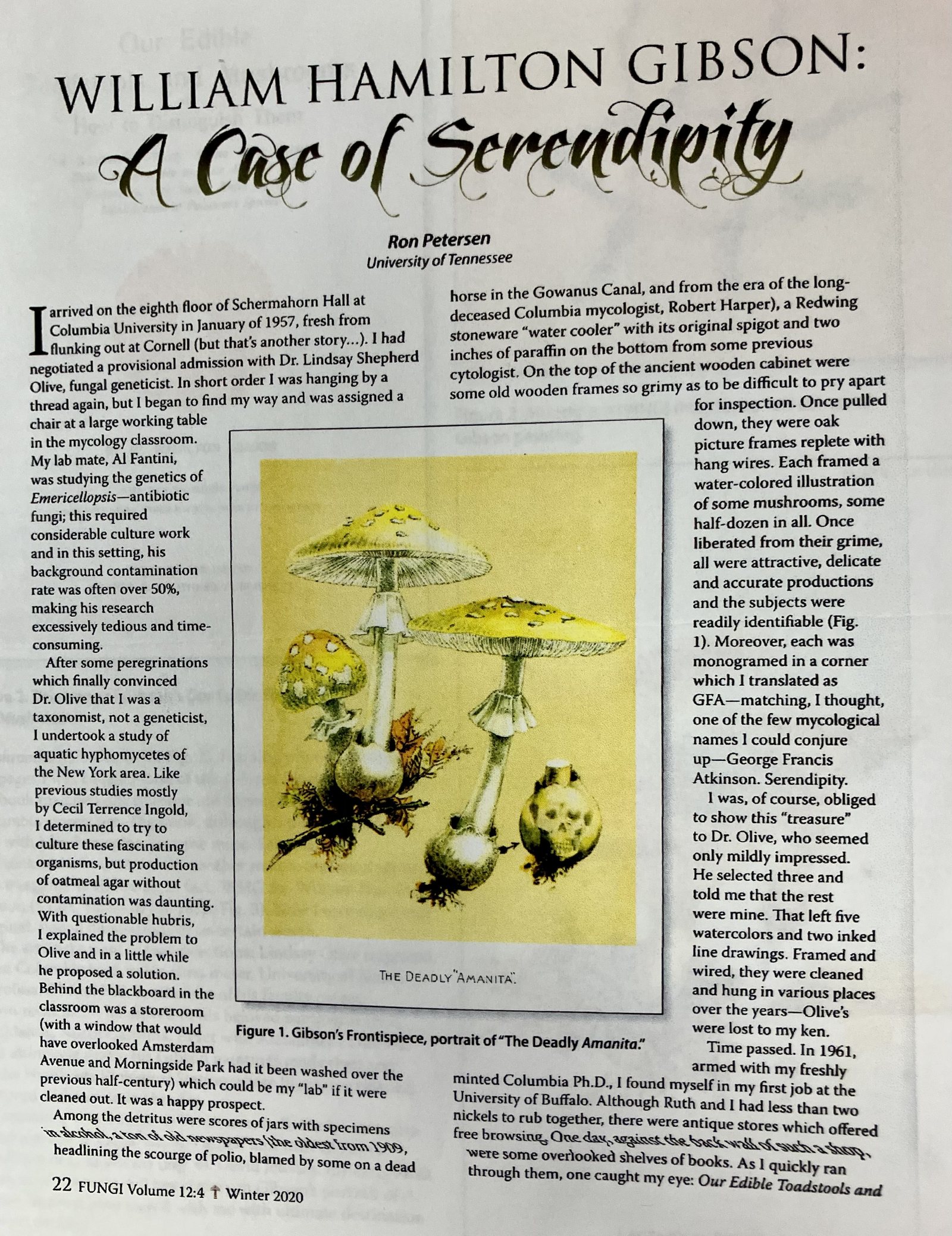 Opening page of Ronald H. Petersen’s article, William Hamilton Gibson: A Case of Serendipity, in Fungi magazine, with Gibson’s frontispiece reproduced as Figure 1