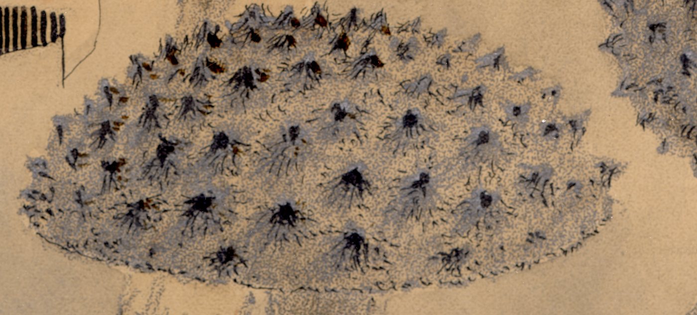 Detail: a cap bristling with small, dark bursts of marks
