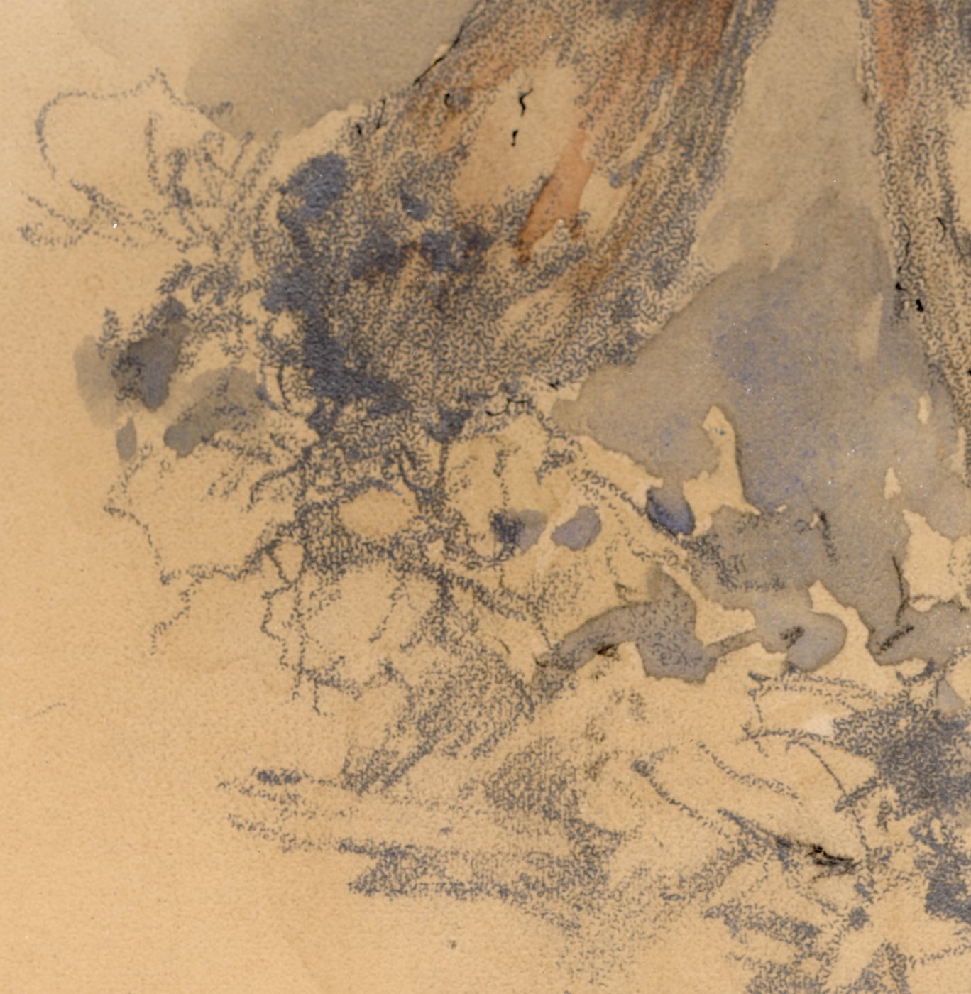 Detail: the leaf litter, with looping, tangled pencil lines and blue-gray washes gathering into dark edges