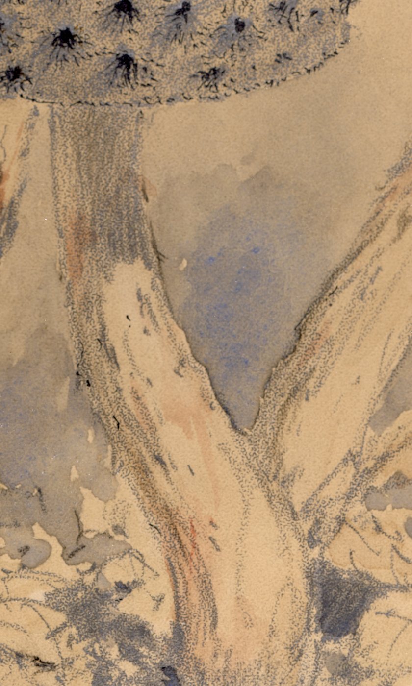 Detail: the stems, with a streak of warm color running through cool blue-gray shadows