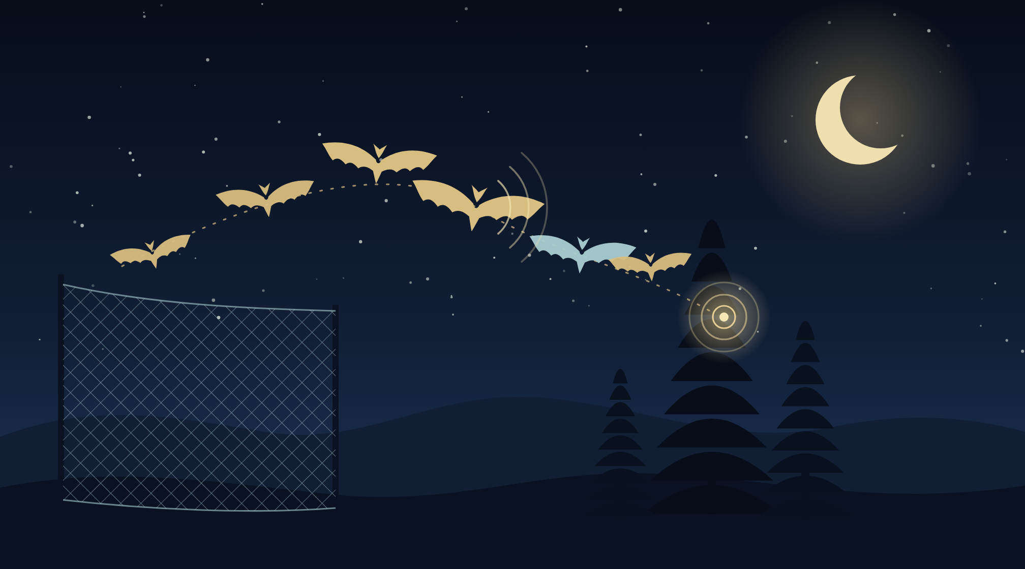 Illustration of six bats in flight under a crescent moon, crossing above a mist net toward a hemlock where a glowing marker shows a roost.