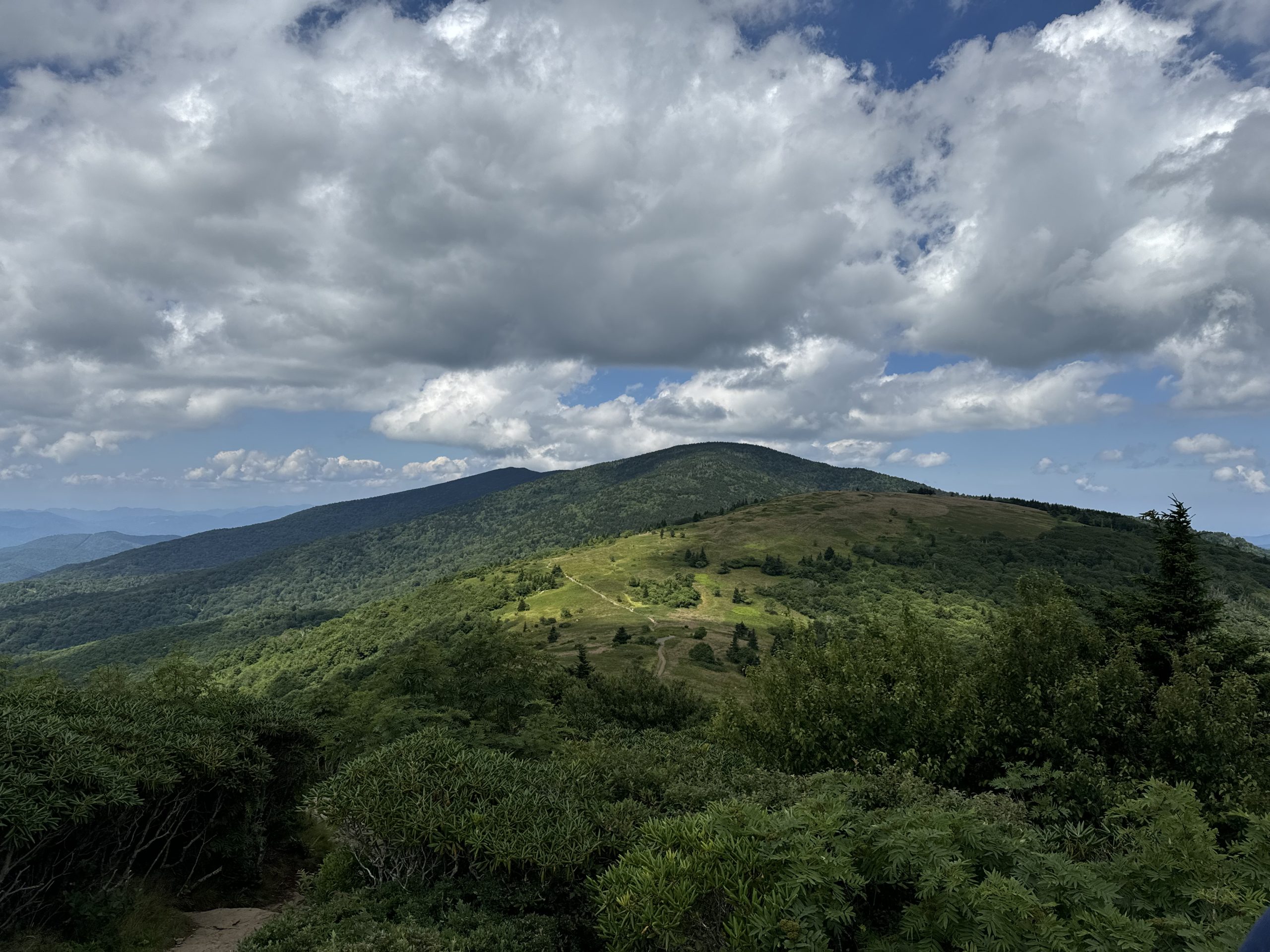 Summer view from Roan Mountain across dense green shrubs to the sunlit, grassy slope of Round Bald, with a pale trail crossing it. Forested ridges recede toward blue distance under large, towering clouds.