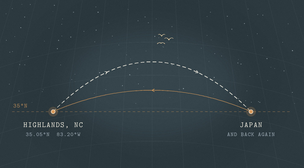 Graphic depicting journey from Highlands to Japan and back.